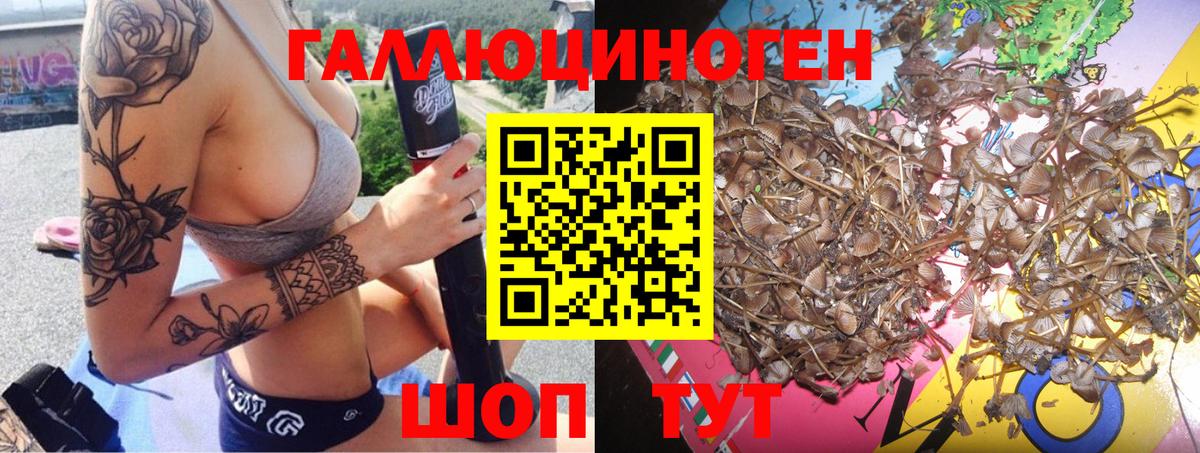 Псилоцибиновые грибы мухоморы Кузнецк