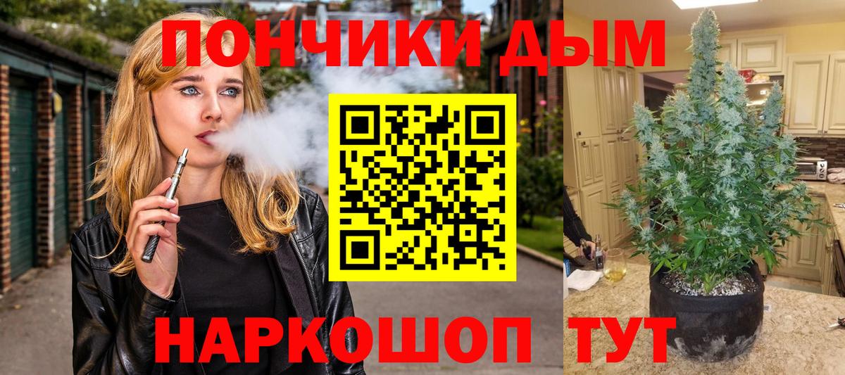 Бошки марихуана ГИДРОПОН Кузнецк
